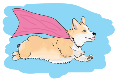 A Corgi with a cape, flying